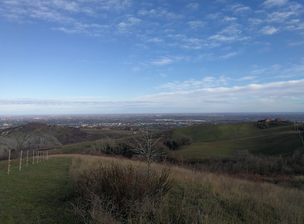 Sguardo sulla pianura dai dintorni di Pieve Pastino